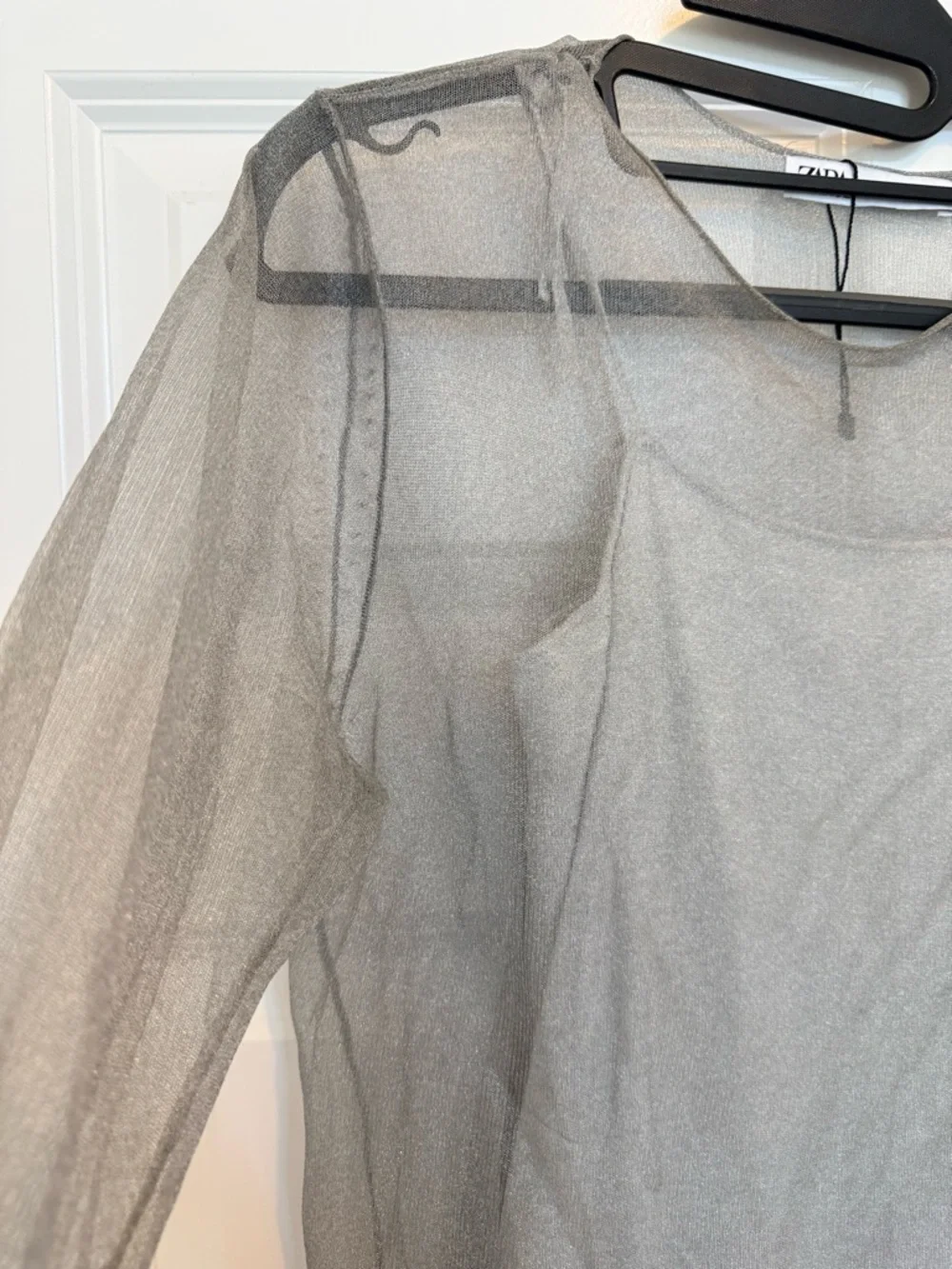 Zara Sheer Long Sleeve Maxi Dress in Taupe Gray - Picture 2 of 5